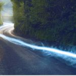 Fleet Management Solutions